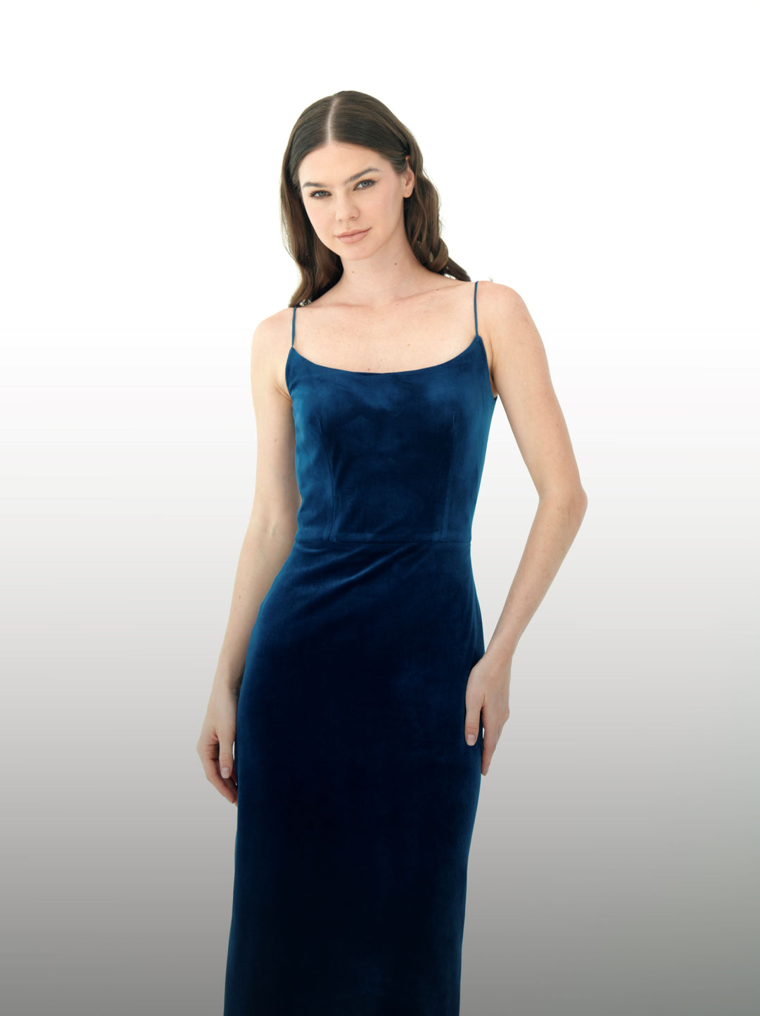 Velvet Blue Dress